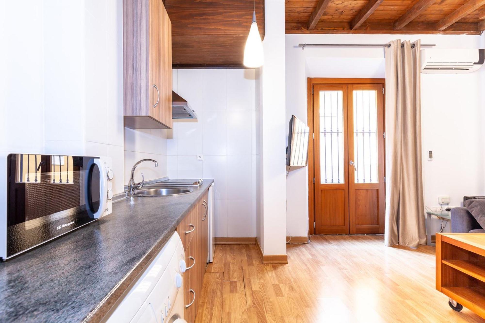 Apartament Frida